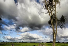 金年会下载-安菲尔德永不陷落！利物浦主场碾压劲敌积分榜王座稳如磐石