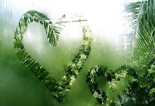 金年会下载-安菲尔德永不陷落!利物浦主场碾压劲敌积分榜王座稳如磐石