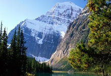 金年会博彩-恩菲尔德阵容齐整，劲旅全力以赴世俱杯争冠