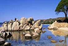 金年会下载-鹿岛鹿角技战术演练密集，冲刺冠军全力以赴