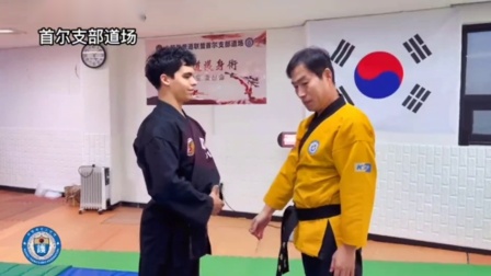 瑞士选手在跆拳道比赛中赢得胜利 瑞士选手在跆拳道比赛中赢得胜利