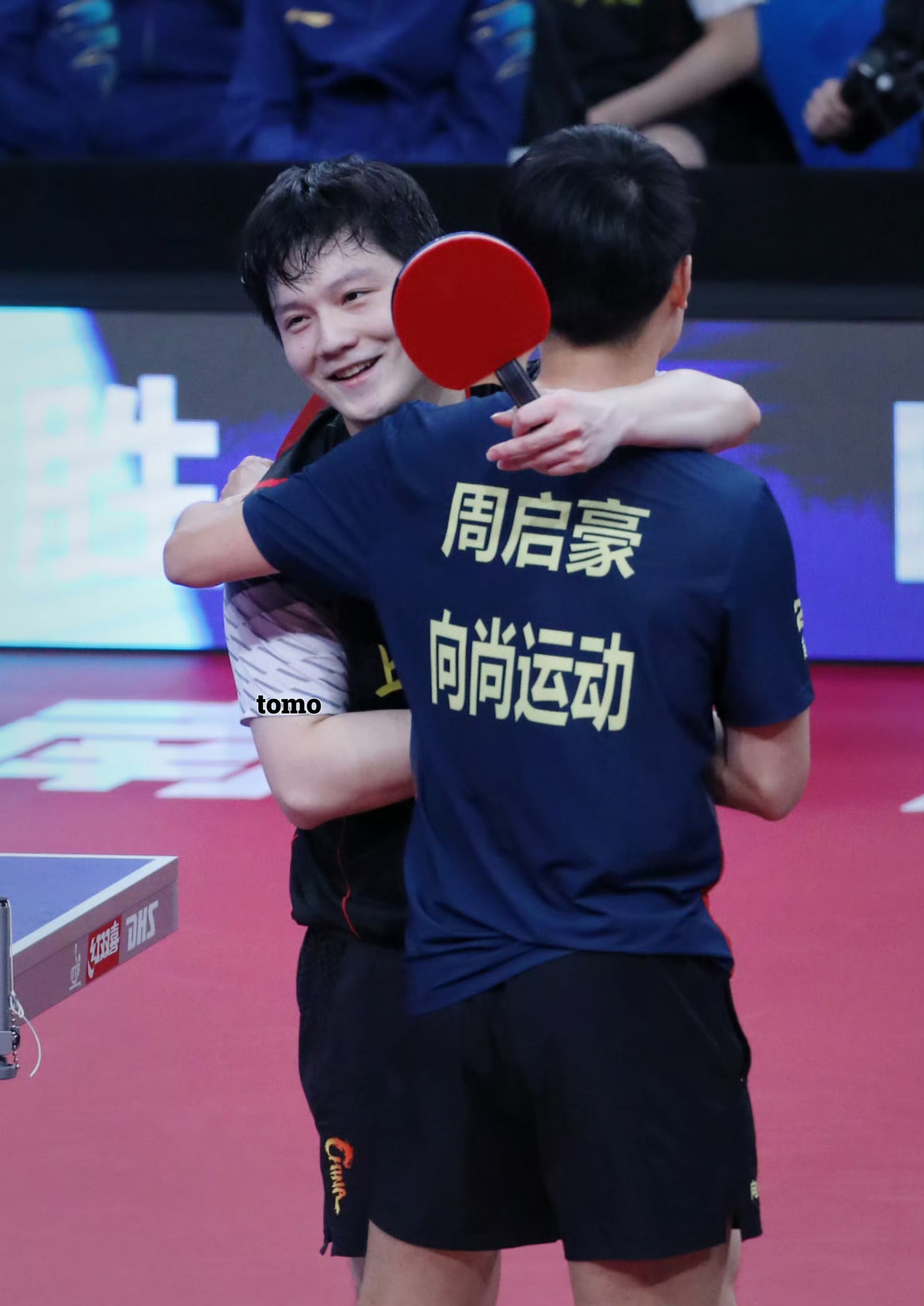 法国队轻取德国队,樊振东高光表现 法国队轻取德国队,樊振东高光表现