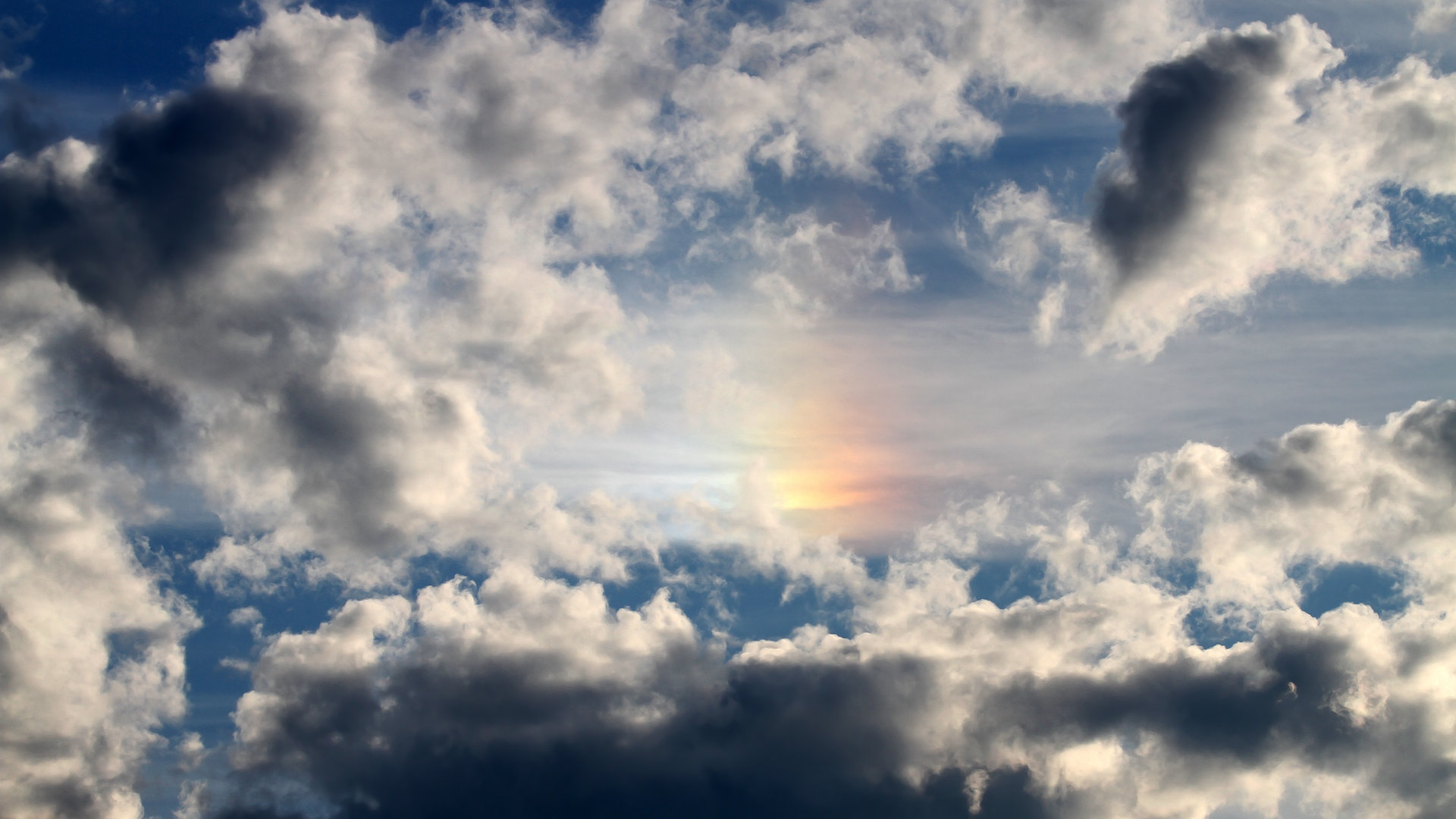 金年会网址-奥运周期关键战之夜，卡马文加用实力证明自己