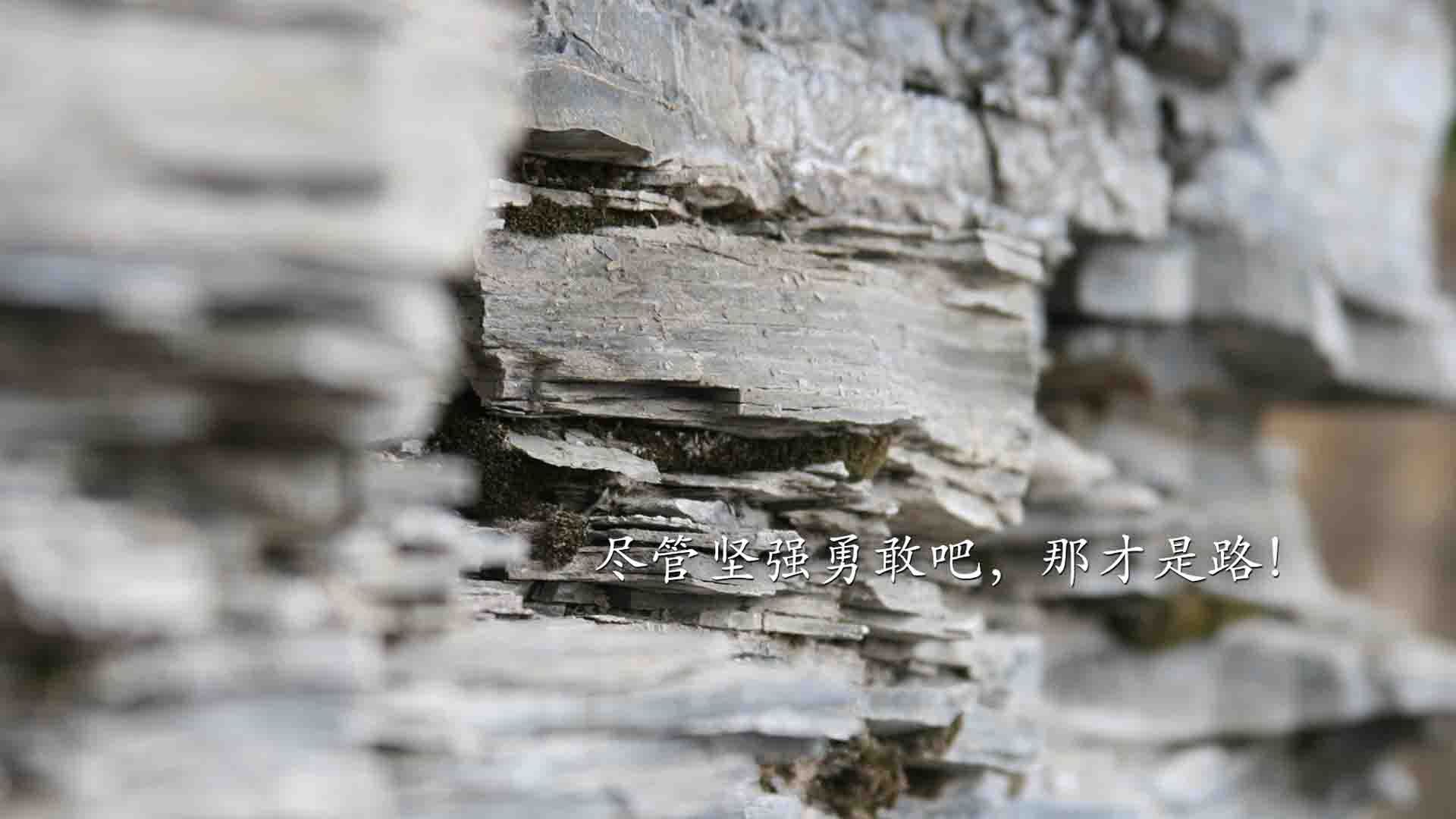 jinnianhui-双线争冠，英超焦点战火纷飞，广东队末节发力带走公牛