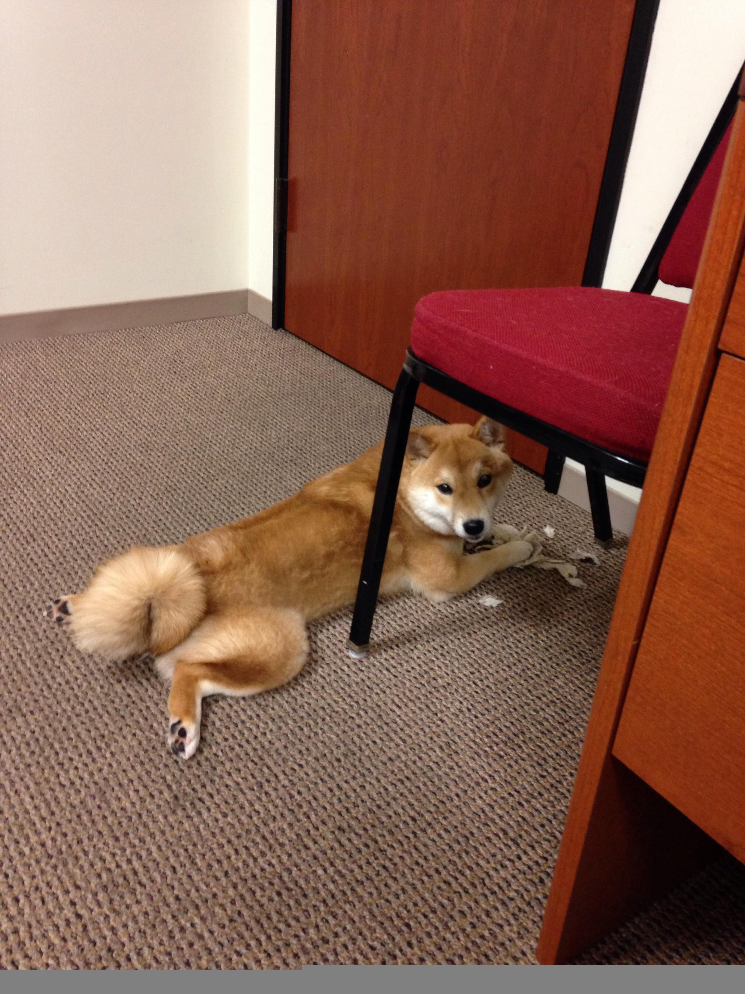 F1街道赛之夜，戈麦斯存在感如何主宰钢铁迷宫？