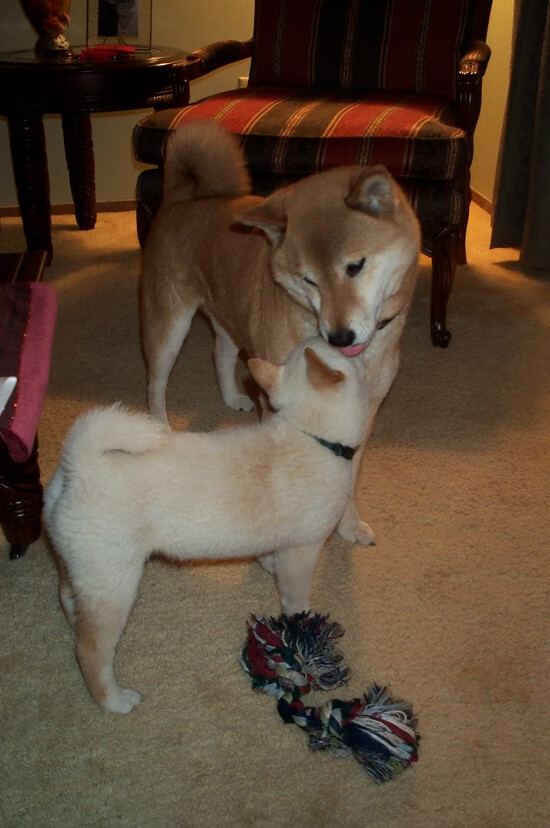 金年会app下载-当骑士的冰冷铁壁，撞上英格拉姆的滚烫刀锋