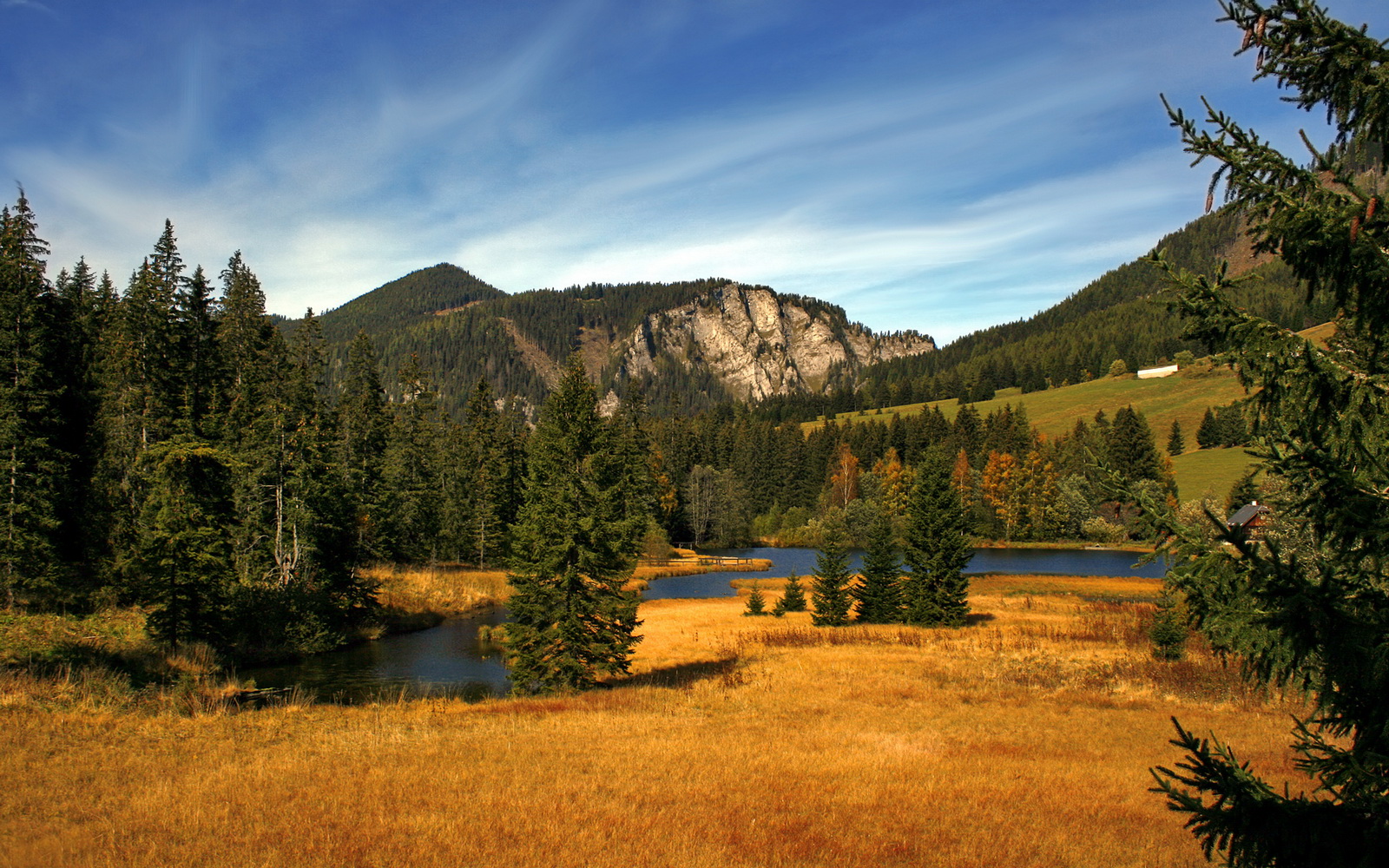 双面王者，哈登攻防统治与浙江铁血鏖战骑士
