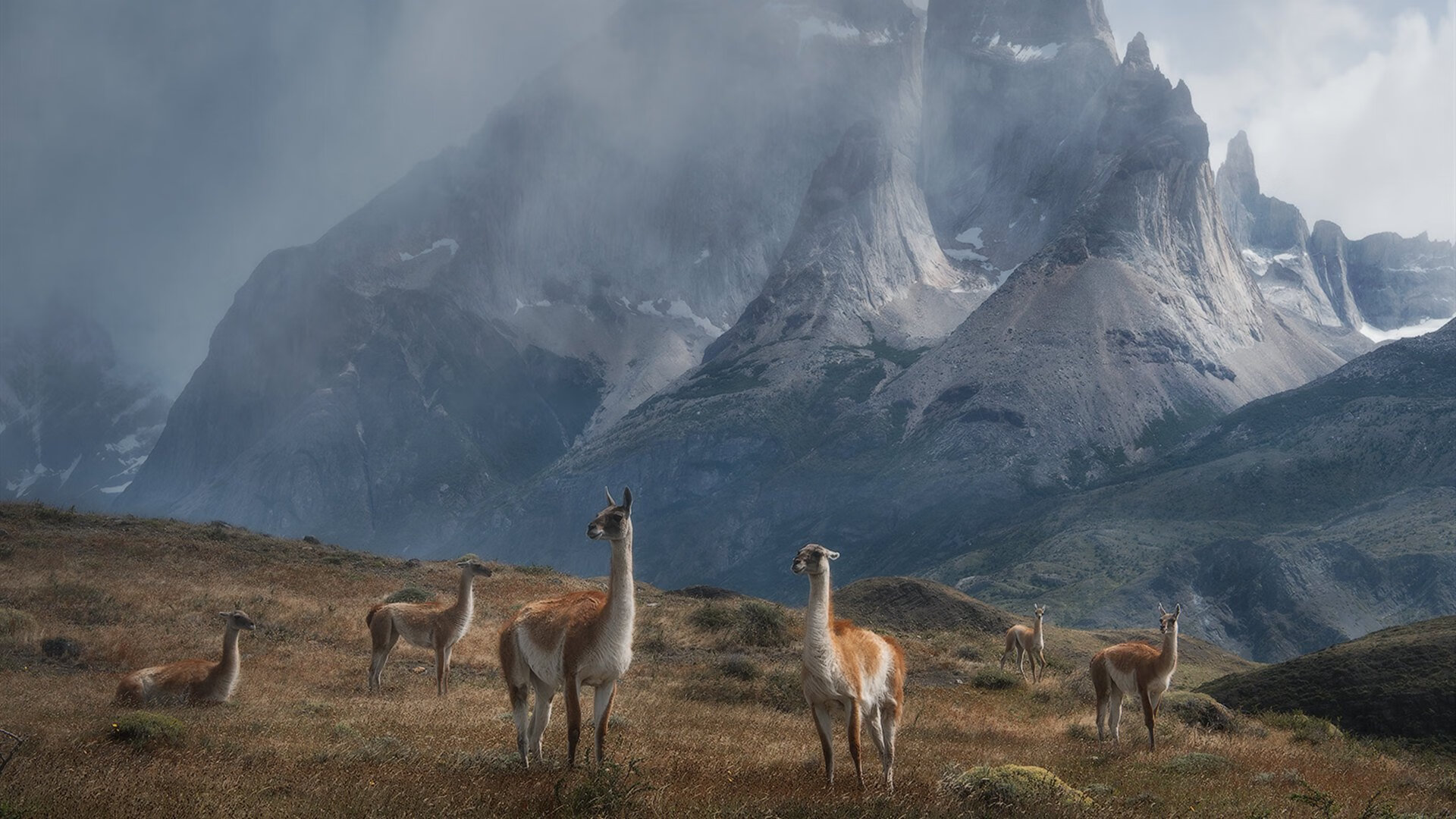 雷恩粉碎波兰，奥亚尔萨瓦尔在奥运周期关键战接管比赛
