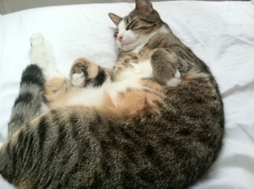 金年会官网-保罗爆发难敌铜墙铁壁！凯尔特人用防守绞杀篮网巨星火力