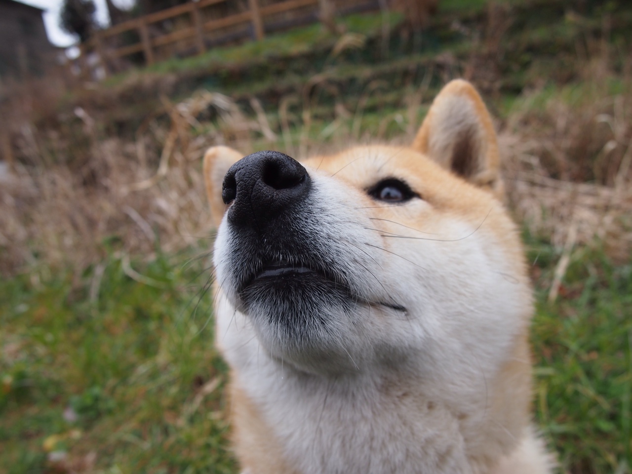 欧文化身致命艺术家，吉林铁骑踏碎圣城神话
