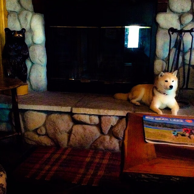 萨内一剑封喉！国家德比之夜，一球定乾坤的寂静与风暴