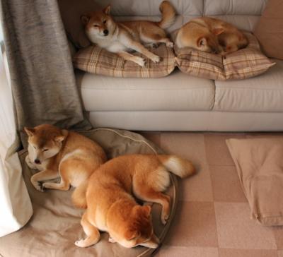 金年会真人-字母哥统治攻防两端，掘金险胜广厦展冠军底蕴