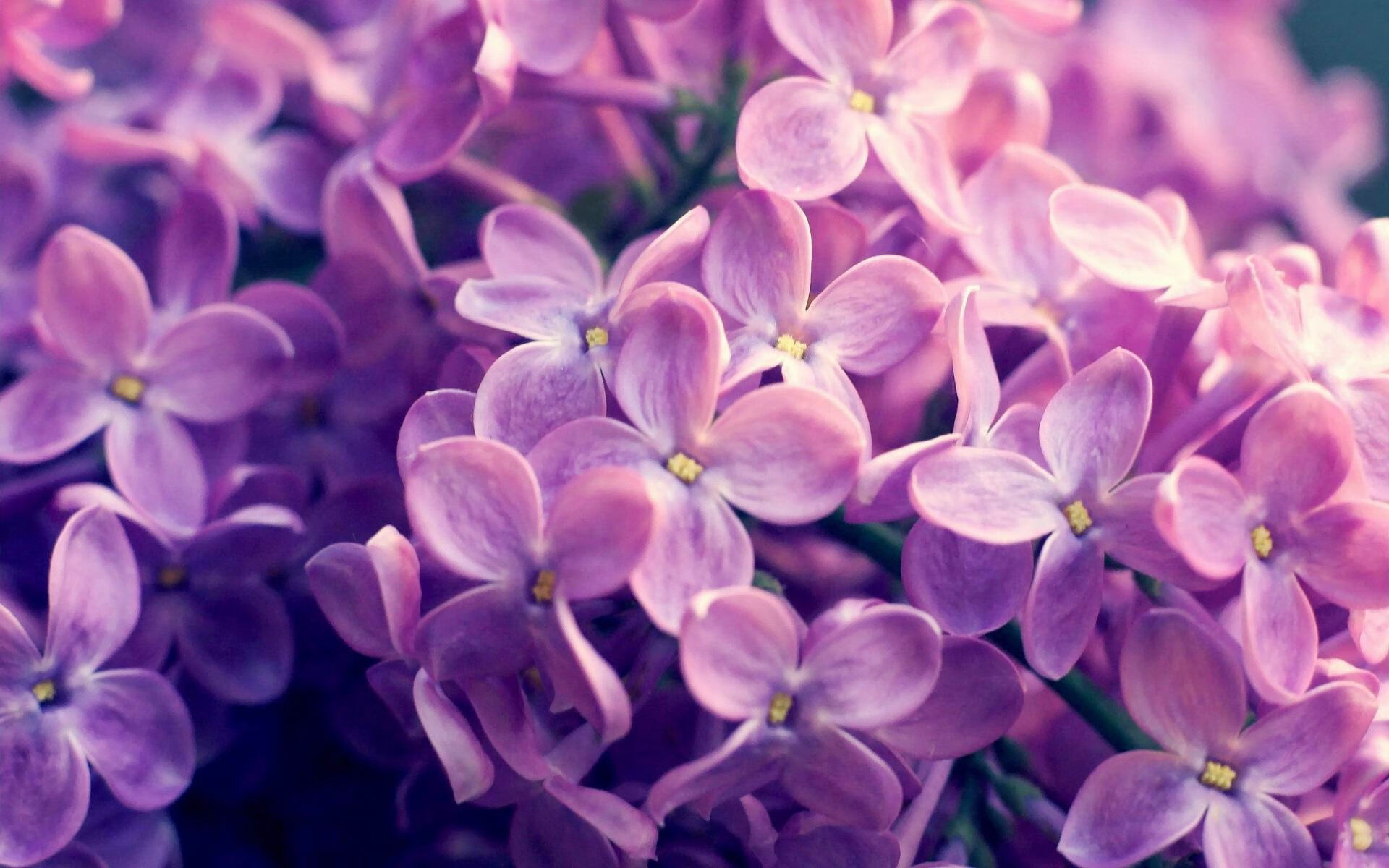 金年会APP-东决关键战焦点战，委内瑞拉冲垮波兰，昂首挺进下一轮